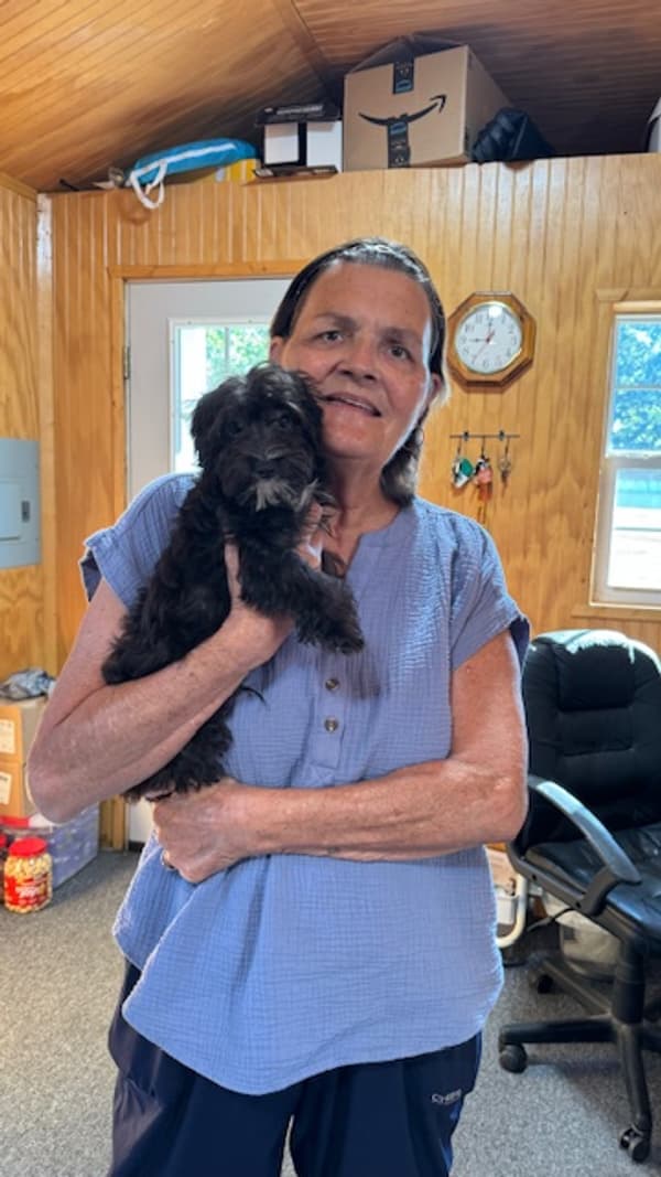 Customer photo of Yorkiepoo - Yorkie Poo puppy from Louanne W.