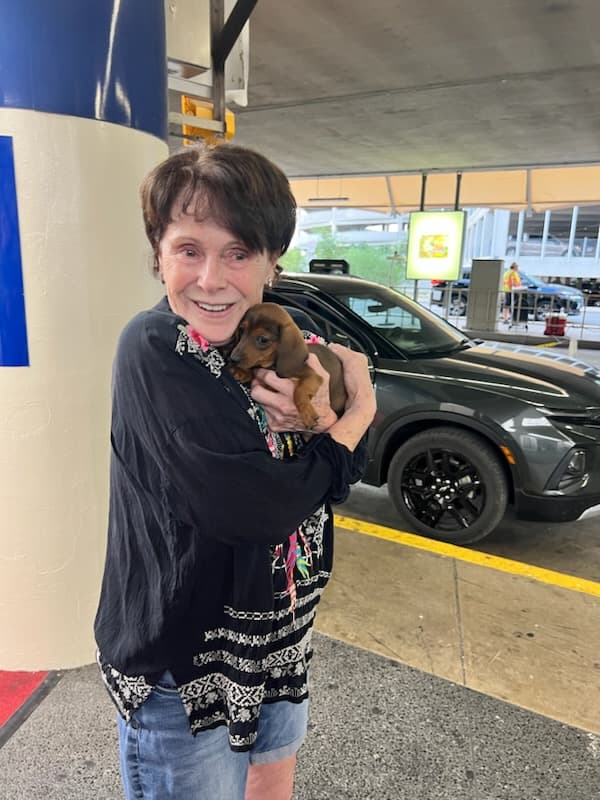 Customer photo of Dachshund, Mini puppy from Paula M.