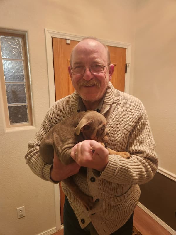 Customer photo of English Bulldog puppy from Paul S.