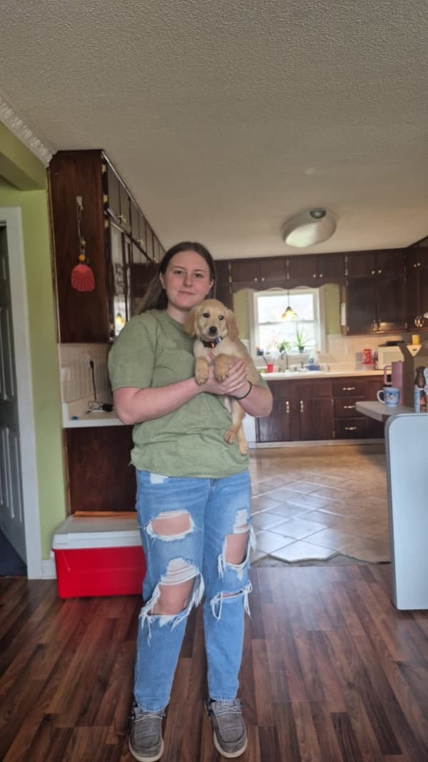 Customer photo of Golden Retriever puppy from Natalie S.