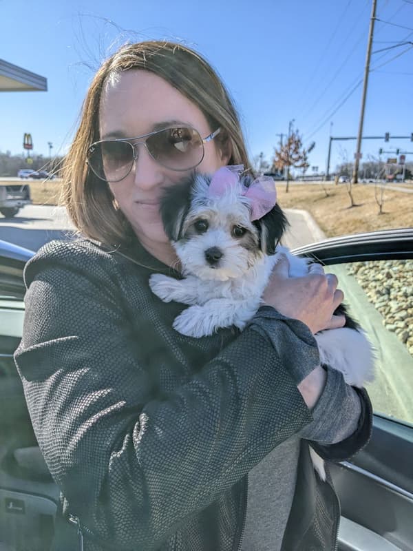 Customer photo of Morkie / Yorktese puppy from Tracy C.