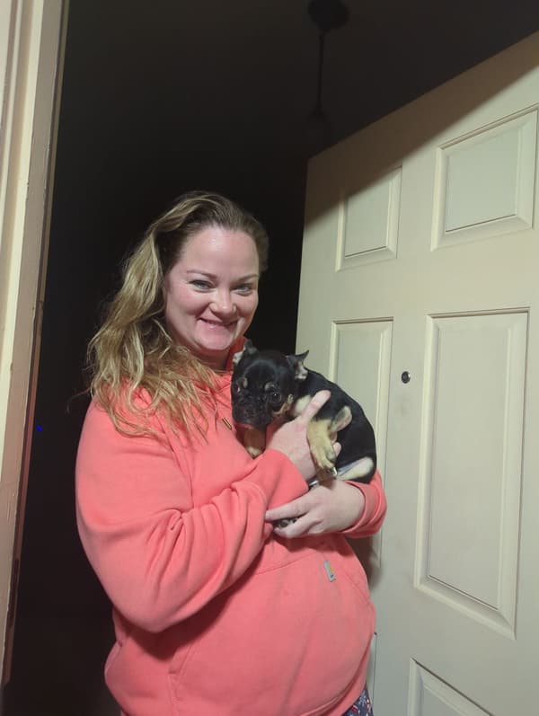 Customer photo of French Bulldog puppy from Kasey V.