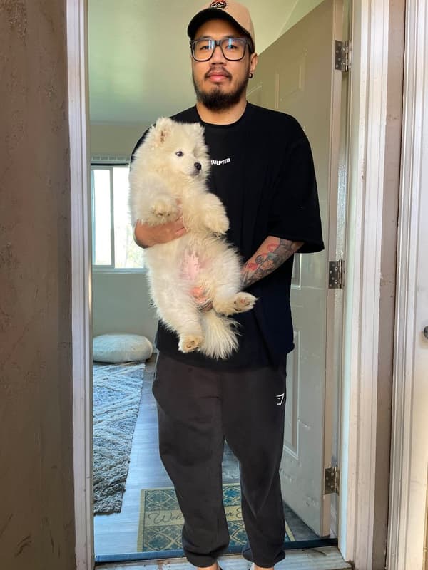 Customer photo of Samoyed puppy from Arianne A.
