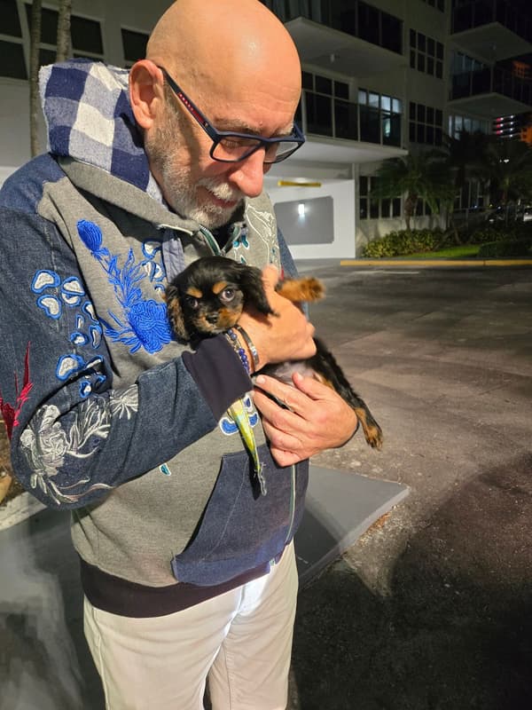 Customer photo of Cavalier King Charles Spaniel puppy from Richard S.