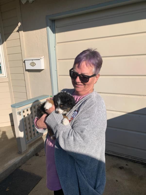 Customer photo of Australian Shepherd puppy from Cara G.