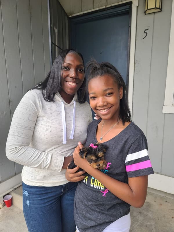 Customer photo of Yorkshire Terrier - Yorkie puppy from Quineshan R.