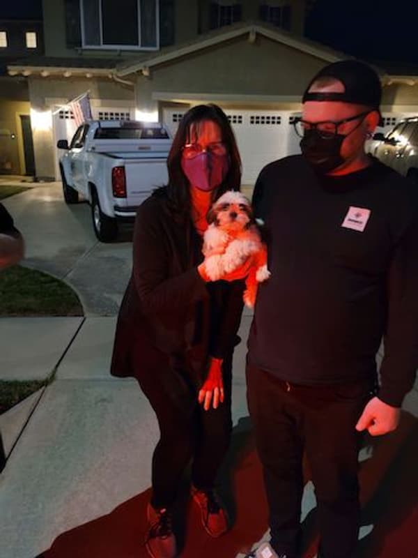 Customer photo of Shih Tzu puppy from Nancy H.