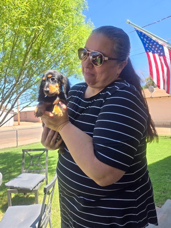 Customer photo of Dachshund, Mini puppy from Kassandra S.