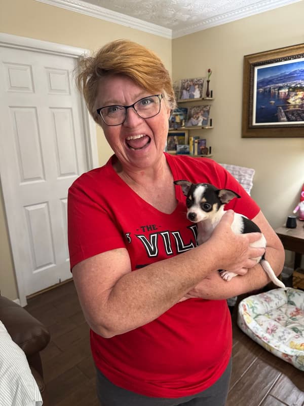 Customer photo of Chihuahua puppy from Sonia H.