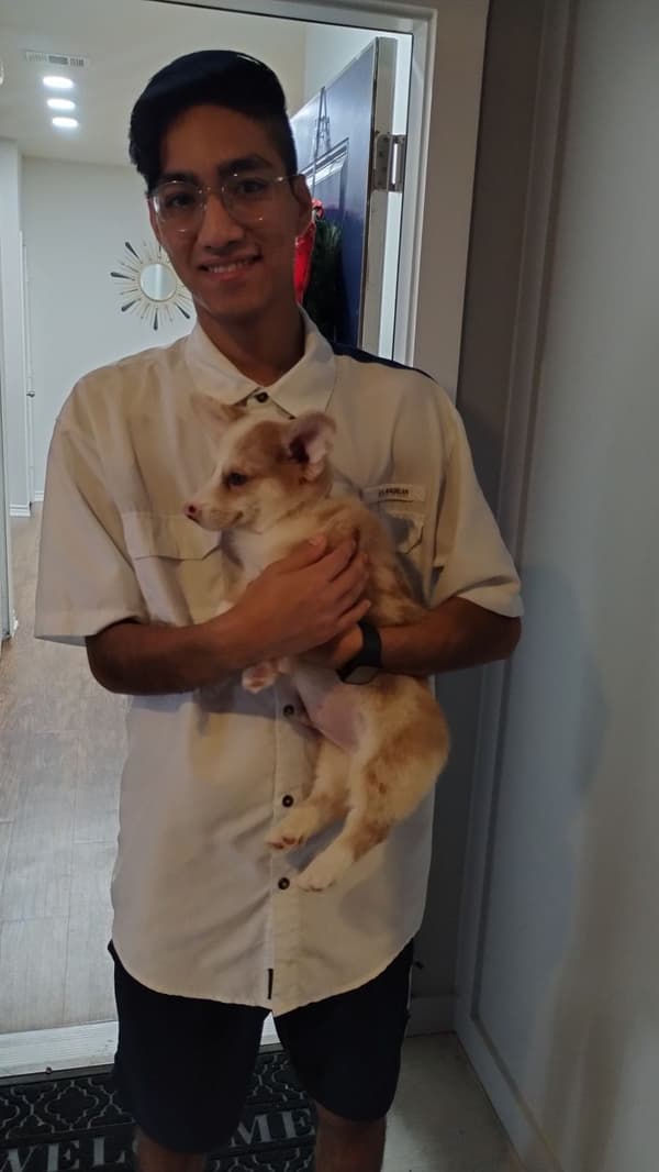 Customer photo of Corgi, Pembroke Welsh puppy from Moises S.