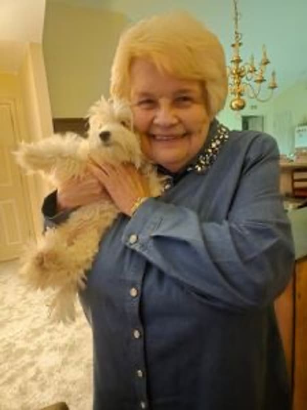 Customer photo of Malti Poo - Maltipoo puppy from Diane B.