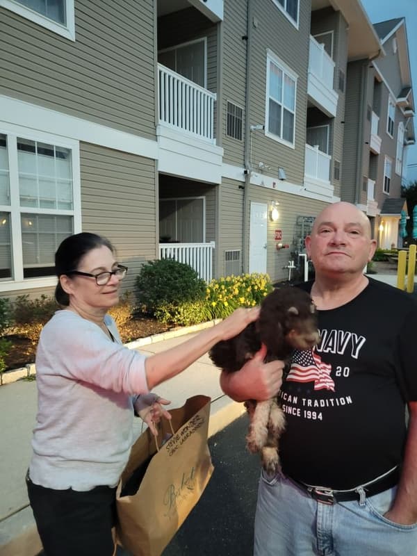 Customer photo of Labradoodle puppy from Rita T.