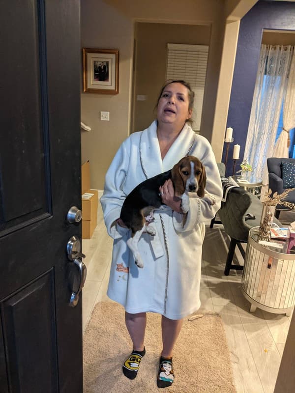 Customer photo of Beagle puppy from Bryan A.