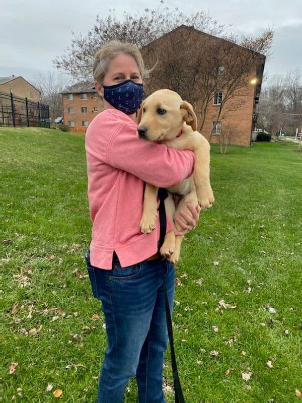Customer photo of Labrador Retriever puppy from Karen S.