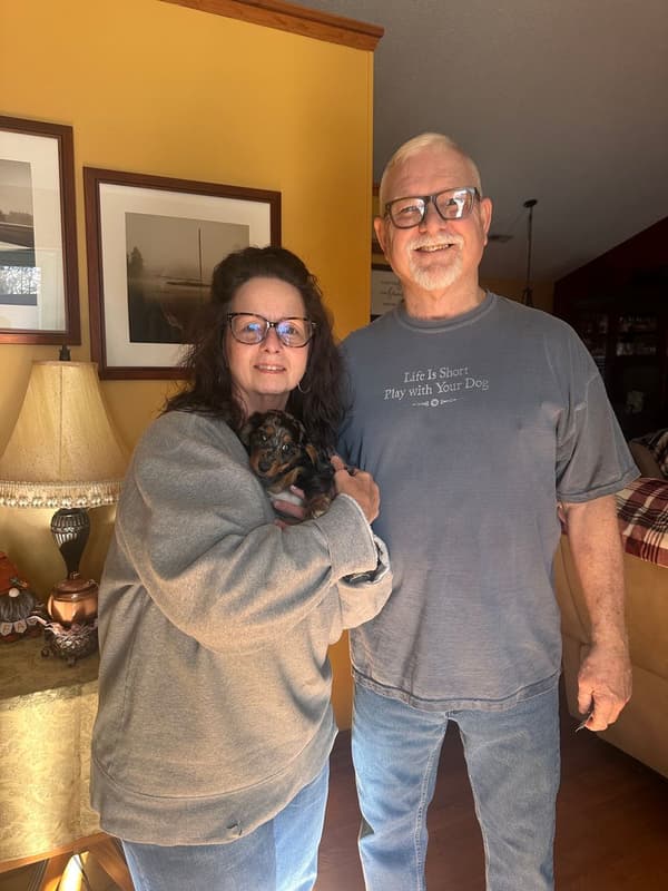 Customer photo of Dachshund, Mini puppy from Joel M.