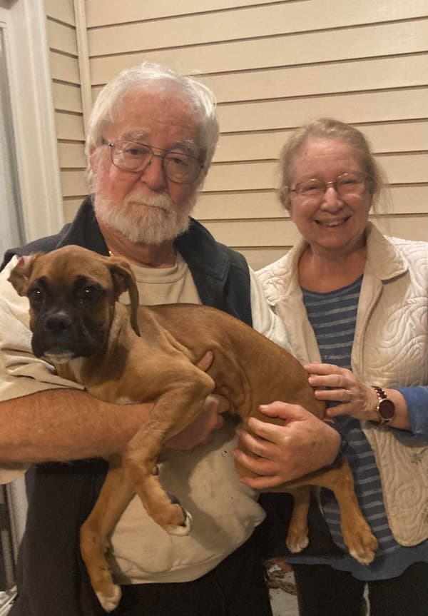 Customer photo of Boxer puppy from Janet M.