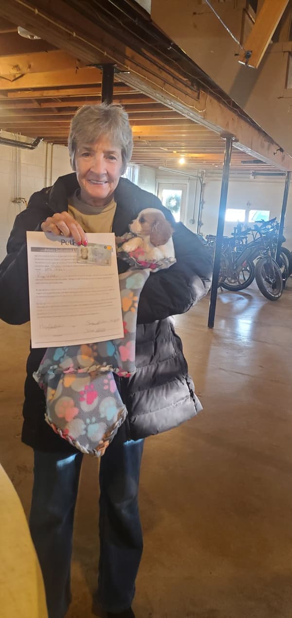 Customer photo of Cavalier King Charles Spaniel puppy from Peggy S.