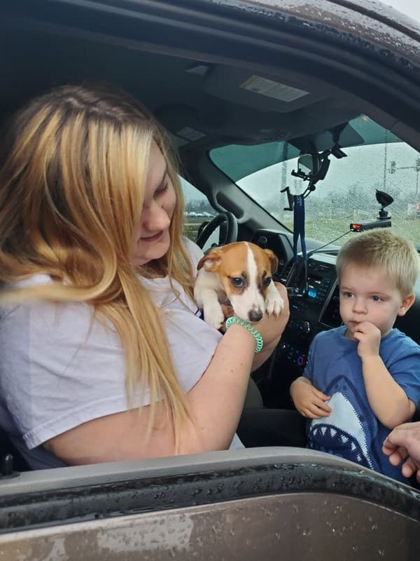 Customer photo of Jack Russell Terrier puppy from Howard P.