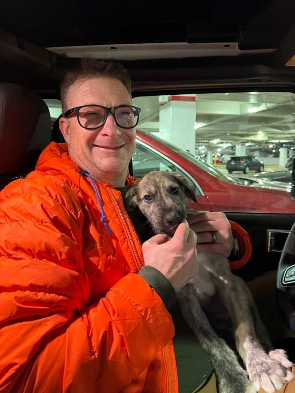 Customer photo of Irish Wolfhound puppy from David S.