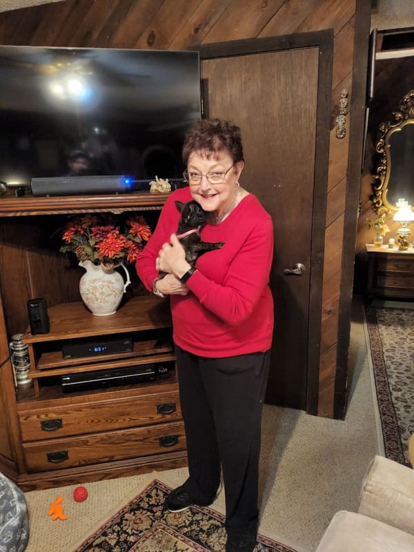 Customer photo of French Bulldog puppy from Elizabeth H.