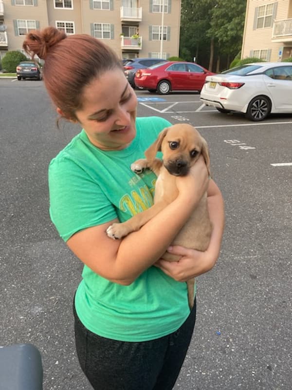 Customer photo of Puggle puppy from Melanie Jeannotte 