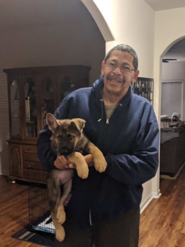 Customer photo of German Shepherd puppy from Anthony L.