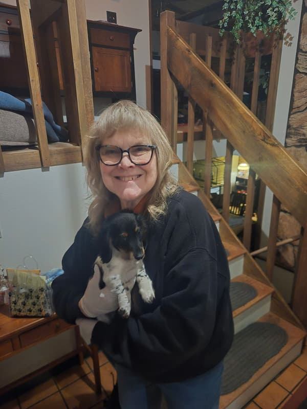 Customer photo of Dachshund, Mini puppy from Mary B.