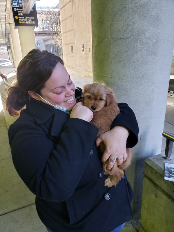 Customer photo of Mixed/Other puppy from Cyrinda R.