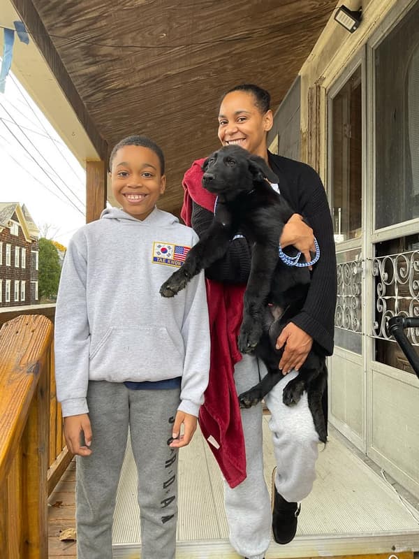 Customer photo of German Shepherd puppy from Danielle D.