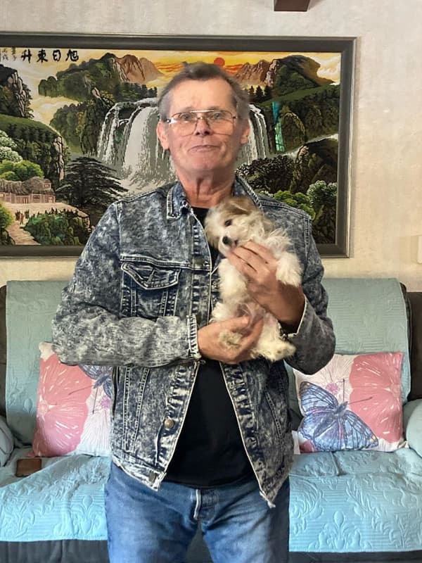 Customer photo of Morkie / Yorktese puppy from Leo F. 