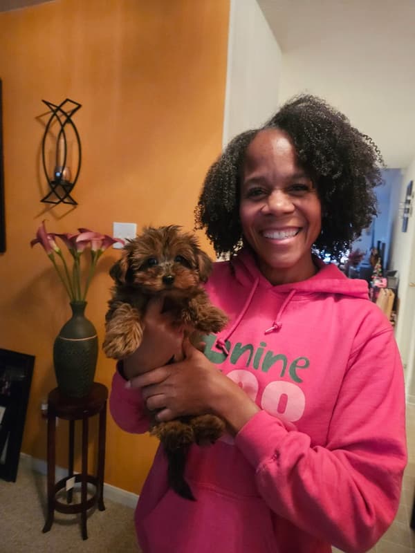 Customer photo of Yorkiepoo - Yorkie Poo puppy from Angela M.