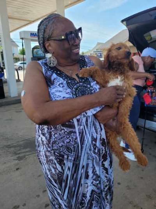 Customer photo of Goldendoodle, Mini puppy from Pat L.