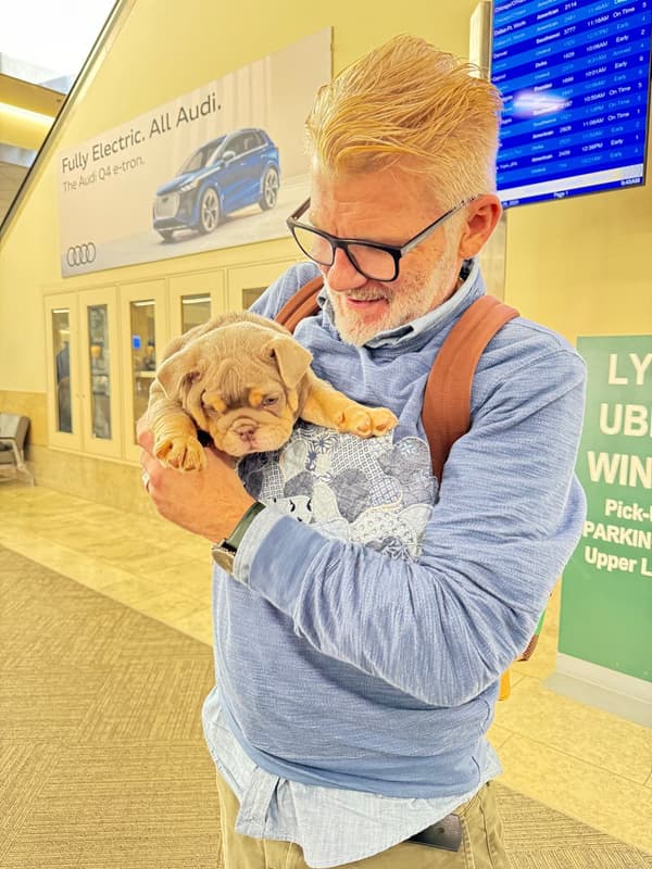 Customer photo of English Bulldog puppy from Chauncey D.