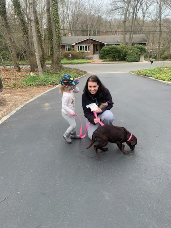 Customer photo of Labrador Retriever puppy from Heather B.