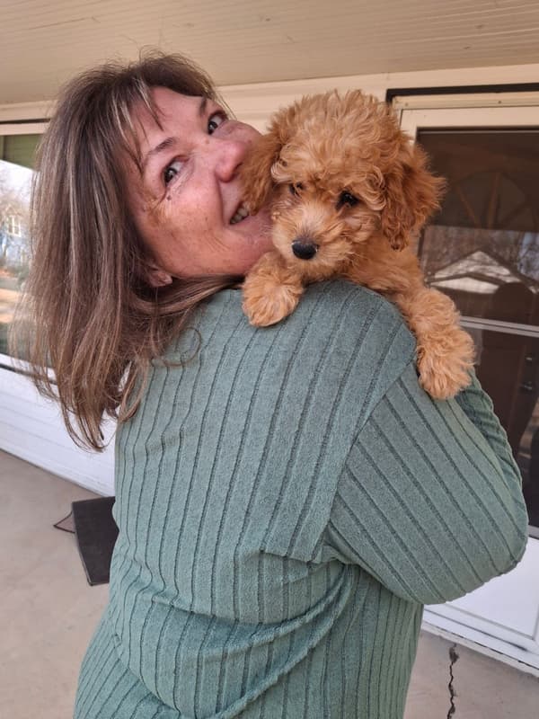 Customer photo of Goldendoodle, Mini puppy from Jennifer S.