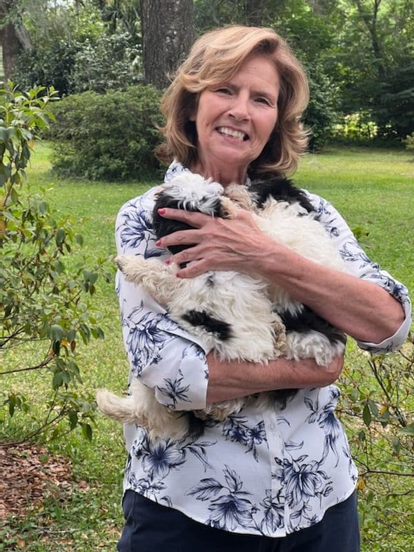 Customer photo of Shih-Poo - Shihpoo puppy from Linda D.