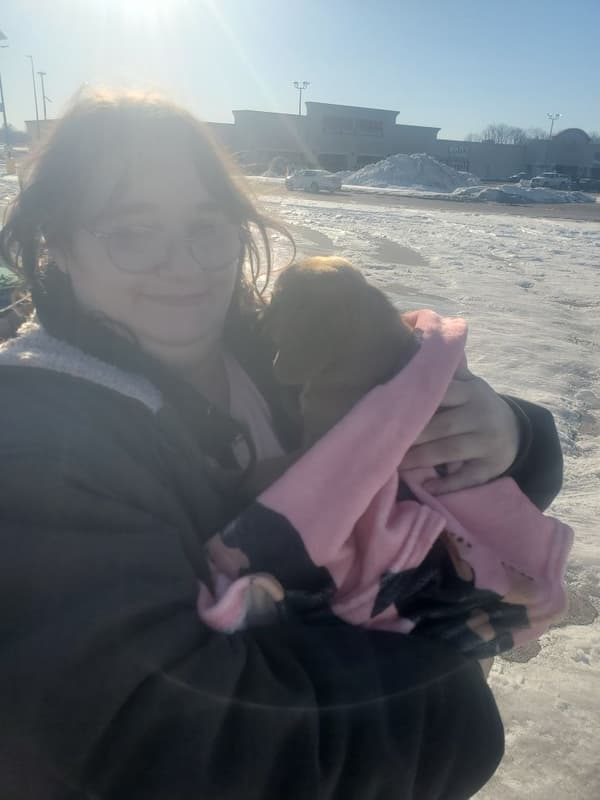 Customer photo of Puggle puppy from Thomas P.