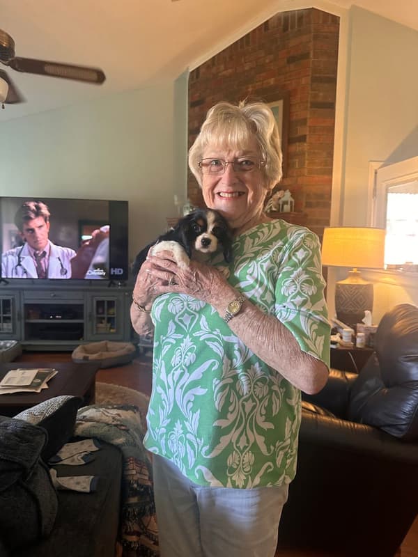 Customer photo of Cavalier King Charles Spaniel puppy from Dianne Z.