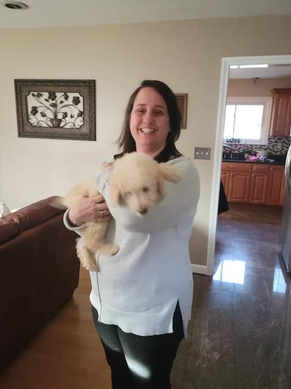 Customer photo of Goldendoodle puppy from Jennifer & Juan D. 