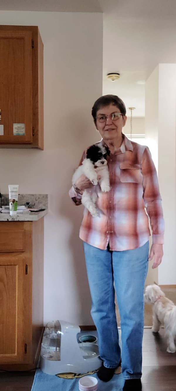Customer photo of Havanese puppy from Linda B.