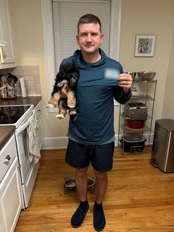 Customer photo of Bernedoodle, Mini puppy from Shaun R.