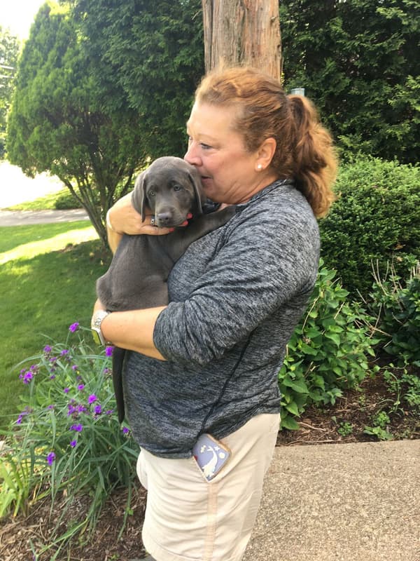 Customer photo of Labrador Retriever puppy from Peggy O.