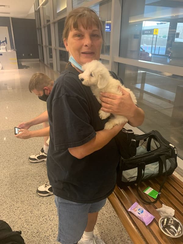 Customer photo of Malti Poo - Maltipoo puppy from Elizabeth L.