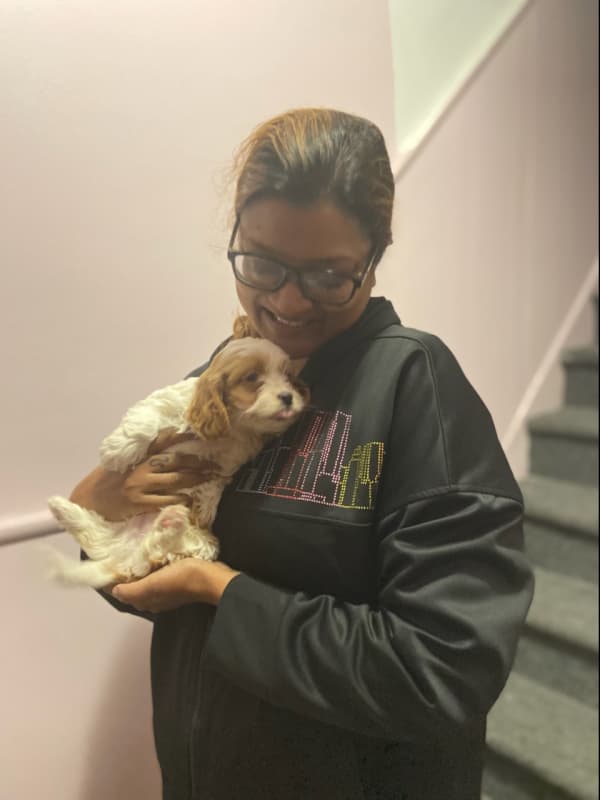 Customer photo of Cavapoo puppy from Sabrina S.