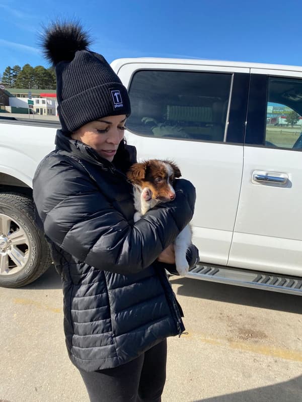 Customer photo of Australian Shepherd puppy from Dionne A.