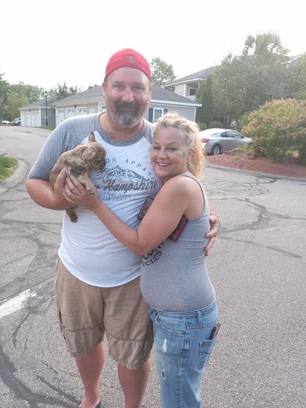 Customer photo of French Bulldog puppy from PJ T.