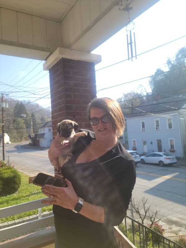 Customer photo of Pug puppy from Tracey P.