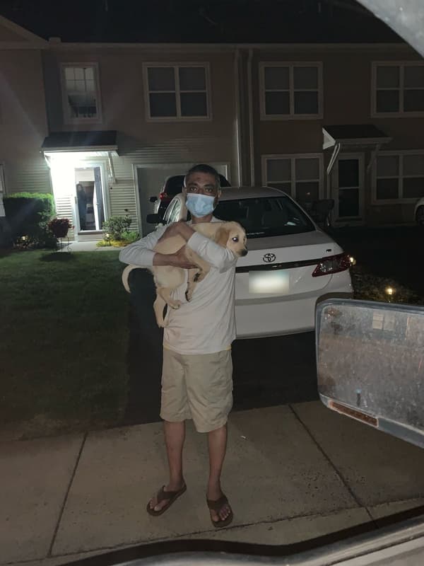 Customer photo of Labrador Retriever puppy from Patel A.