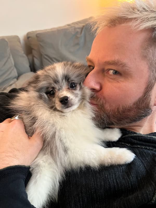 Customer photo of Pomeranian puppy from Jason B.