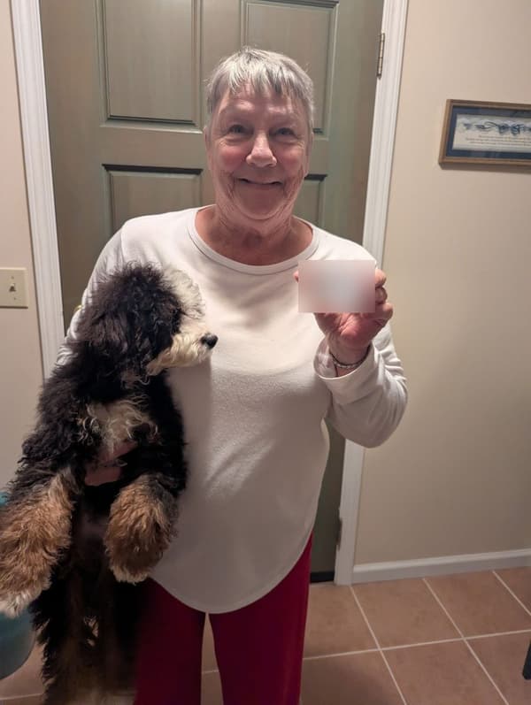 Customer photo of Bernedoodle, Mini puppy from Patricia G.
